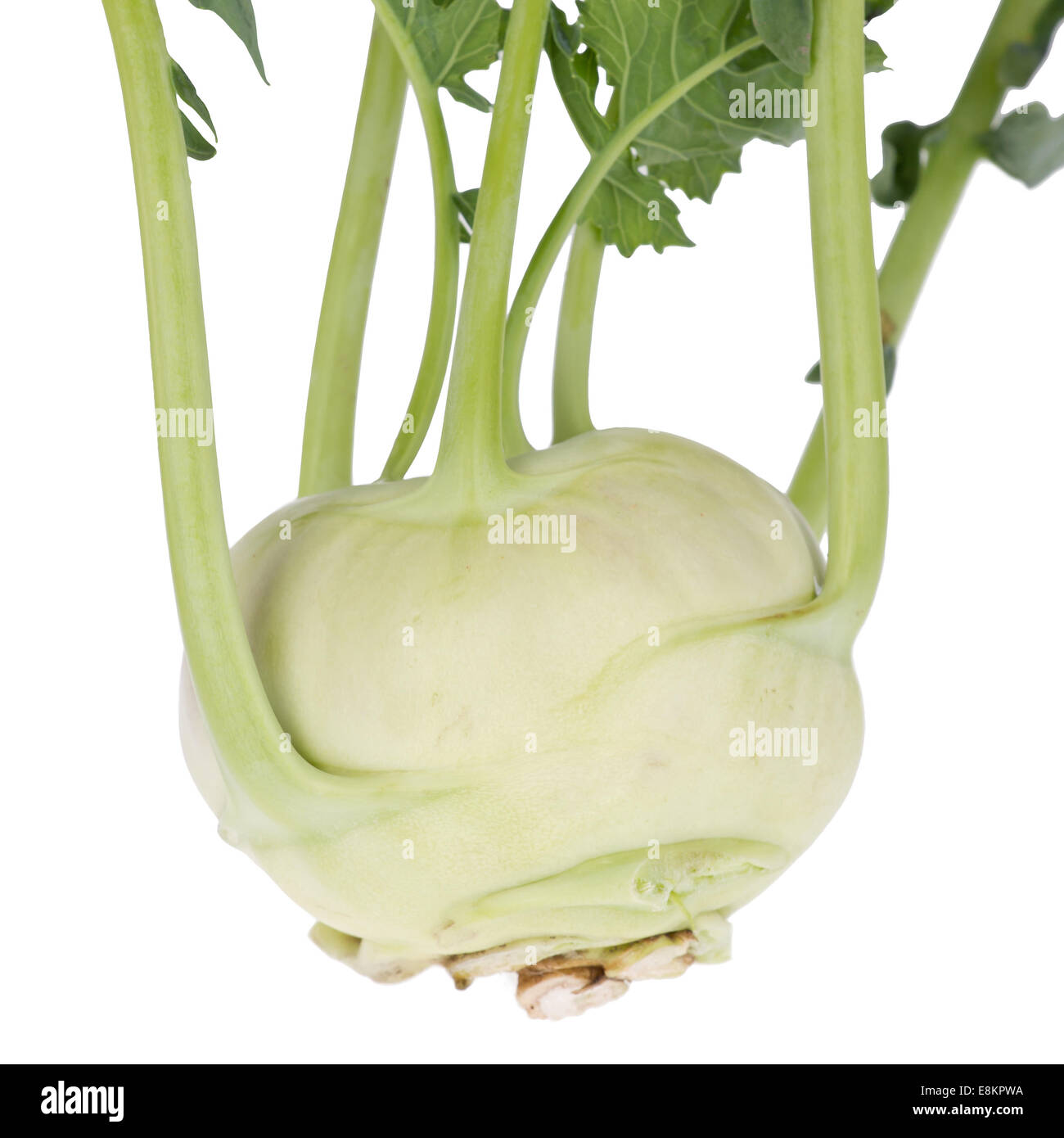 Chou rave du sol Banque de photographies et d’images à haute résolution ...