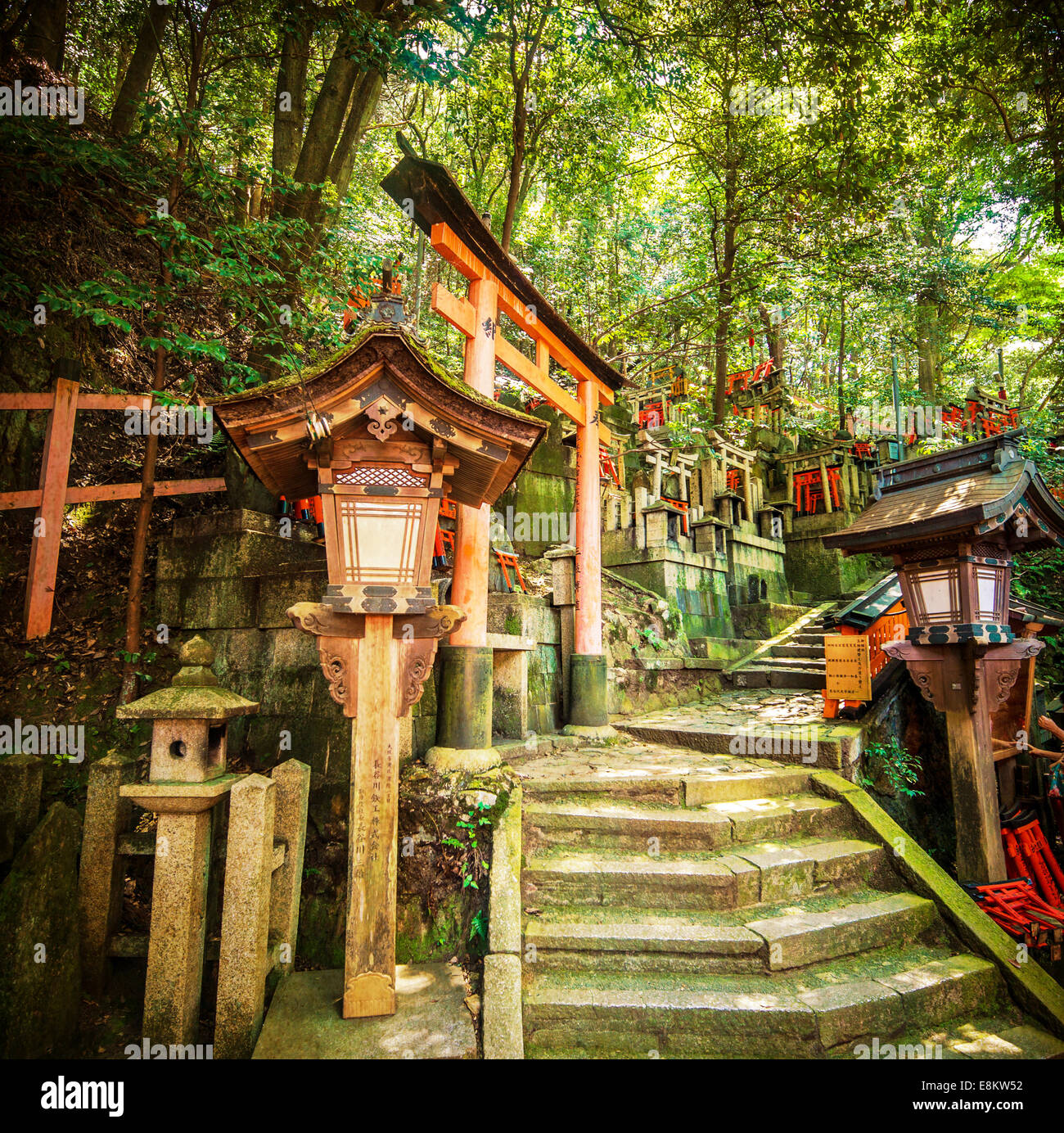 Fushimi Inari Taisha trail, Kyoto, Japon. Banque D'Images