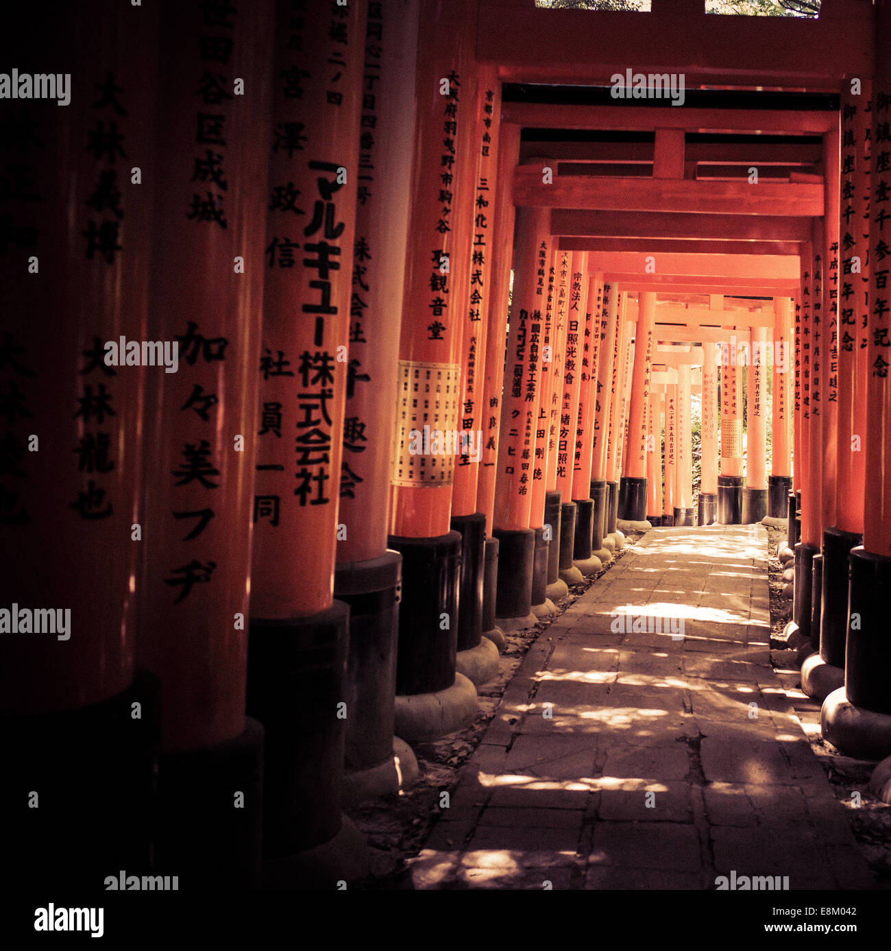 Fushimi Inari Taisha, Kyoto, Japon. Banque D'Images