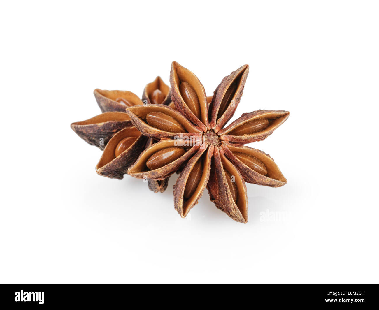 Ensemble anis étoile, isolé sur fond blanc Banque D'Images