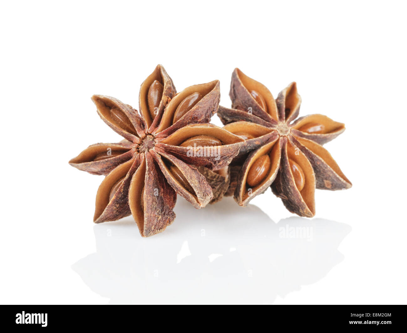 Ensemble anis étoile, isolé sur fond blanc Banque D'Images