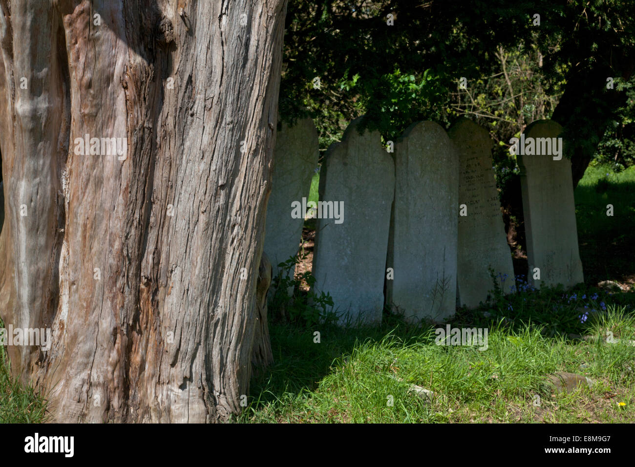 Vieux cimetière pierres tombales commun southampton hampshire angleterre Banque D'Images