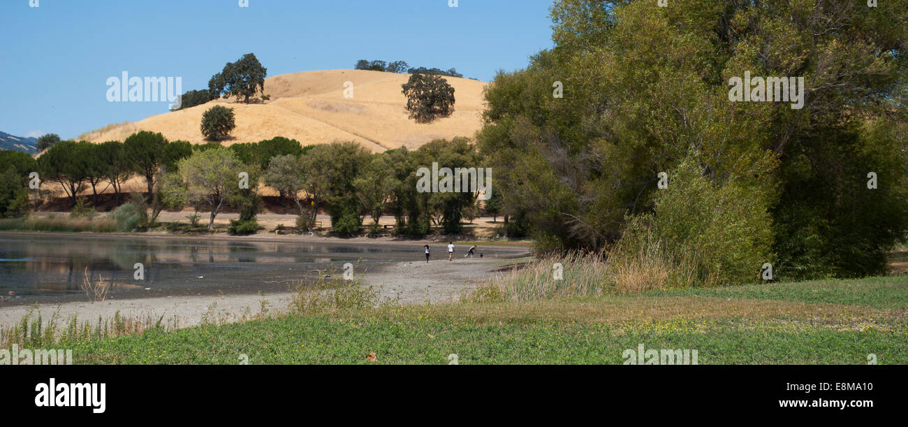 Trois personnes jouent avec leur chien au Lagoon Valley Park, Vacaville, CA Banque D'Images