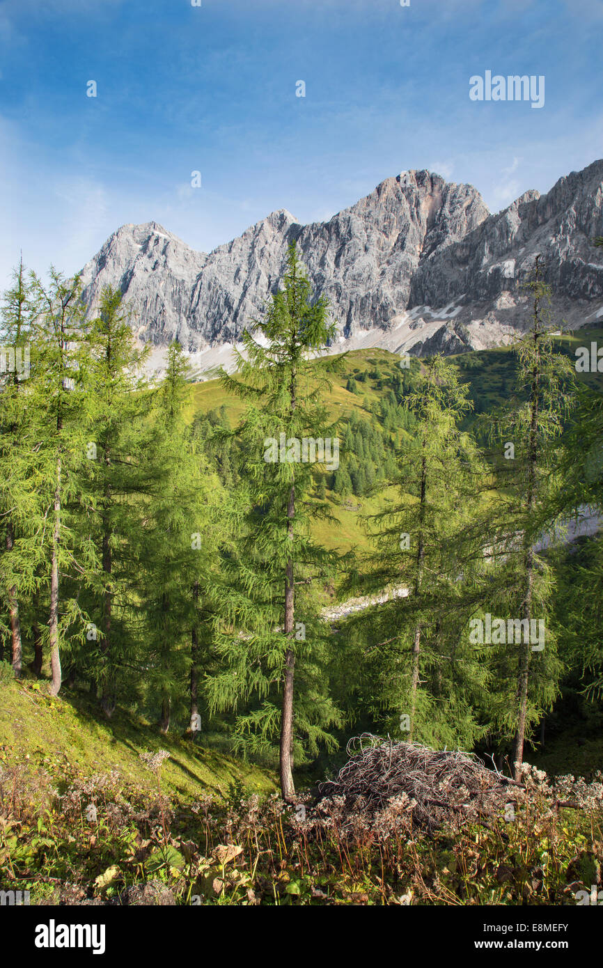 La face sud du massif du Dachstein - Autriche Banque D'Images