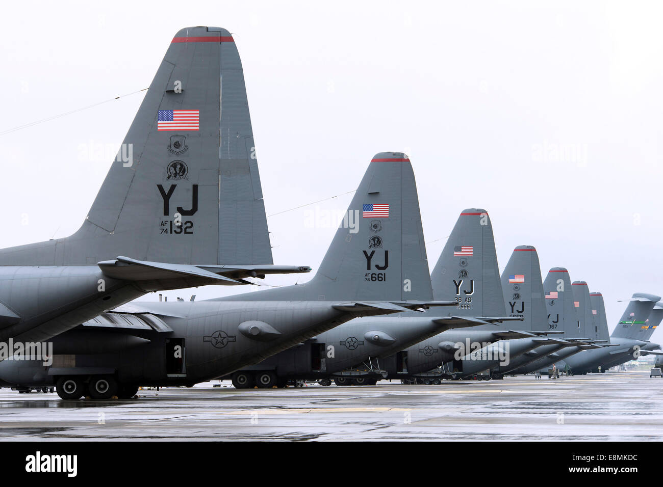 7 octobre 2013 - C-130 Hercules de la 36e Escadron de transport aérien s'asseoir sur la piste à Yokota Air Base, le Japon. Banque D'Images