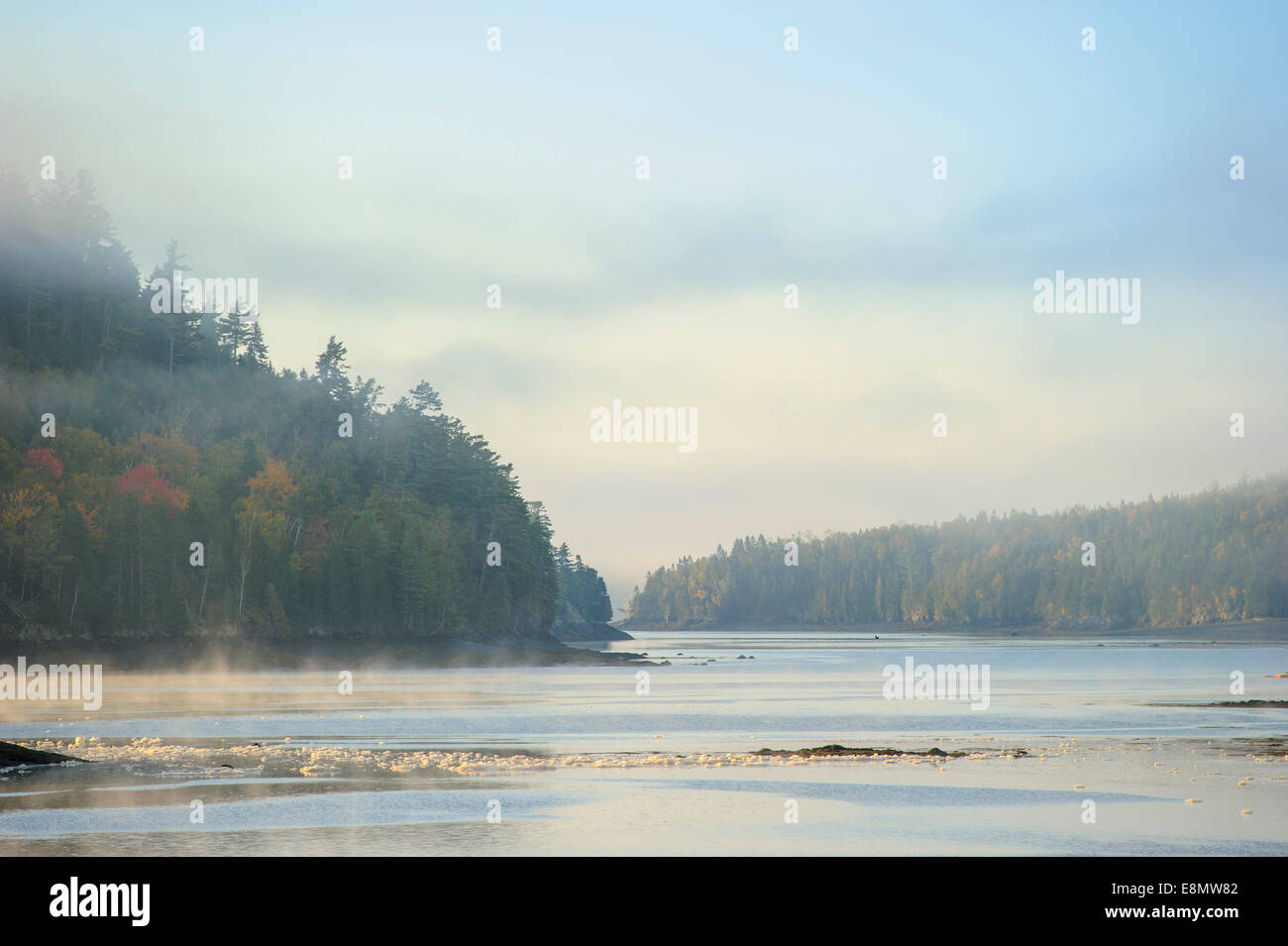 Baie de Fundy, Oak Bay Banque D'Images