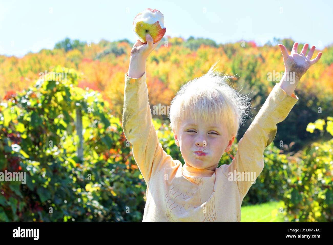 Un jeune enfant est en levant les bras en l'air comme il mange des fruits fraîchement récoltés dans un verger sur une journée d'automne ensoleillée. Banque D'Images