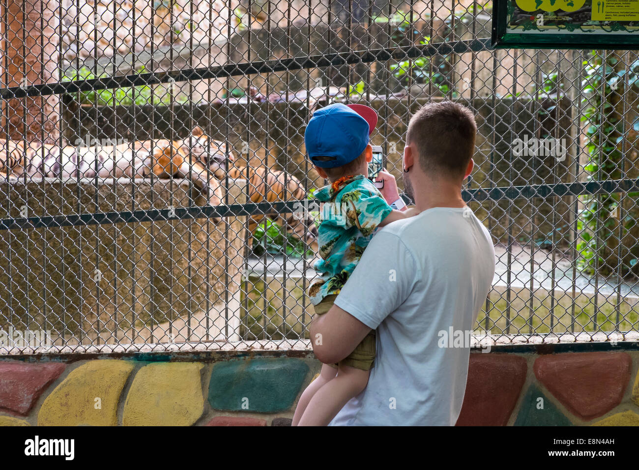 Jeune père tenant son petit garçon tout en prenant une photo avec son téléphone intelligent à l'appareil photo une cage tigre au zoo de Puerto Val Banque D'Images