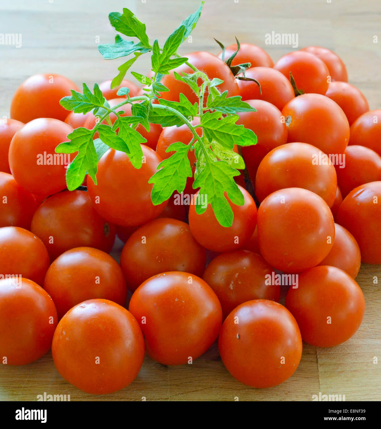 De plus en plus de germes de printemps, la tomate coupée en deux, la récolte de tomates Banque D'Images