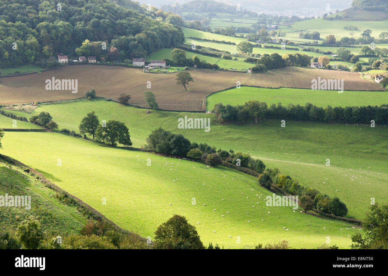 Vues de Coaley Zone de visualisation de pointe dans les Cotswolds Gloucestershire Angleterre près de Nympsfield. Banque D'Images