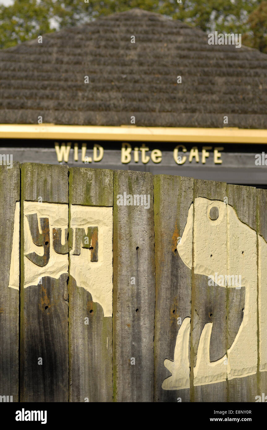 Morsure sauvage Cafe 'Yum' au zoo de Whipsnade, Bedfordshire, Royaume-Uni (usage éditorial uniquement) Banque D'Images