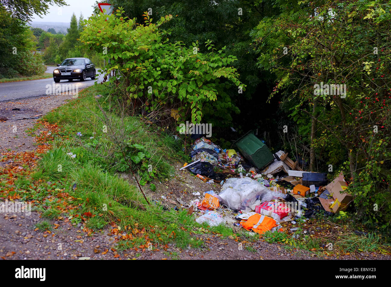 Les décharges sauvages Déchets déchets par une route dans le Bedfordshire Banque D'Images