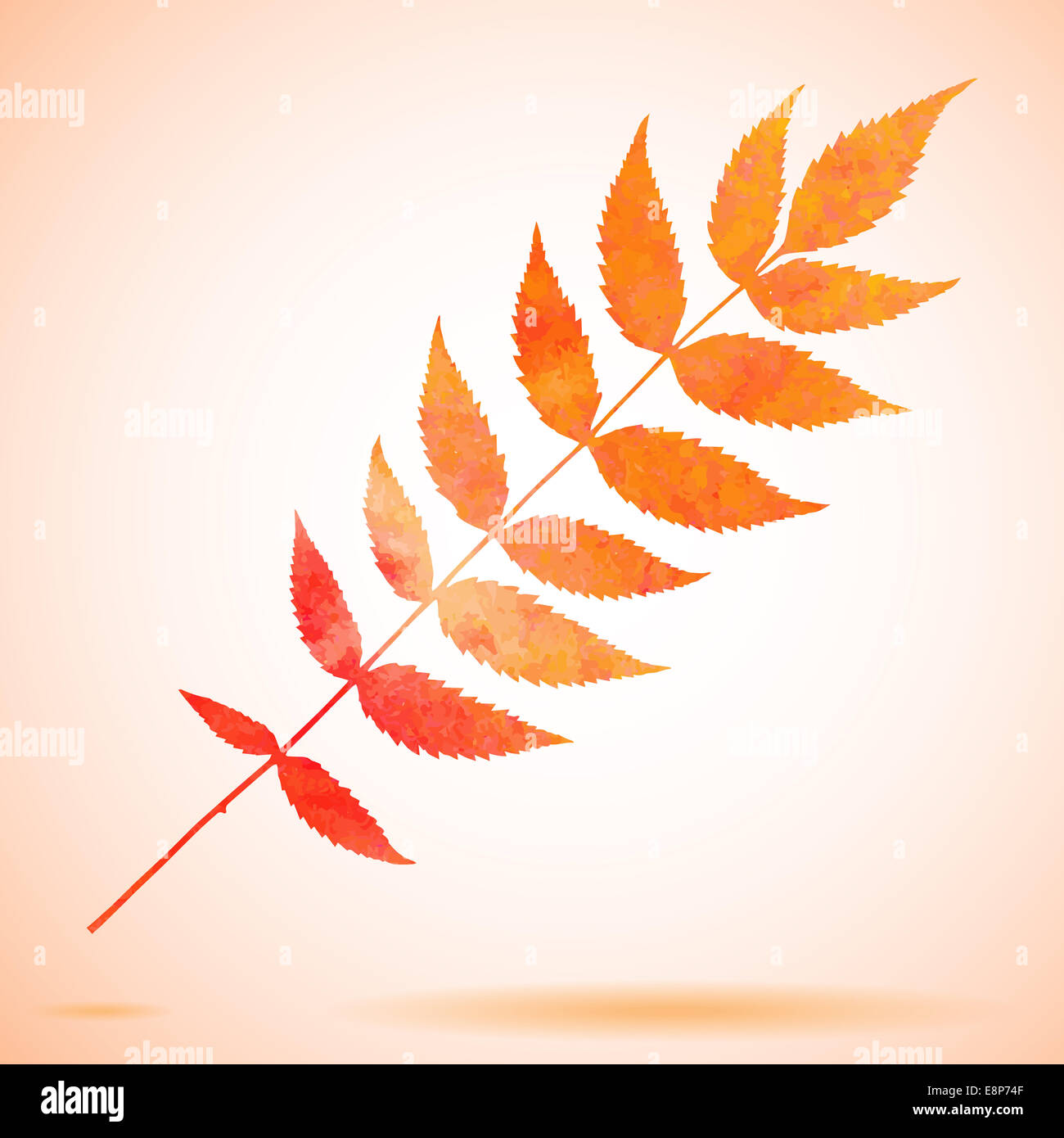 Aquarelle Orange feuille peint Banque D'Images