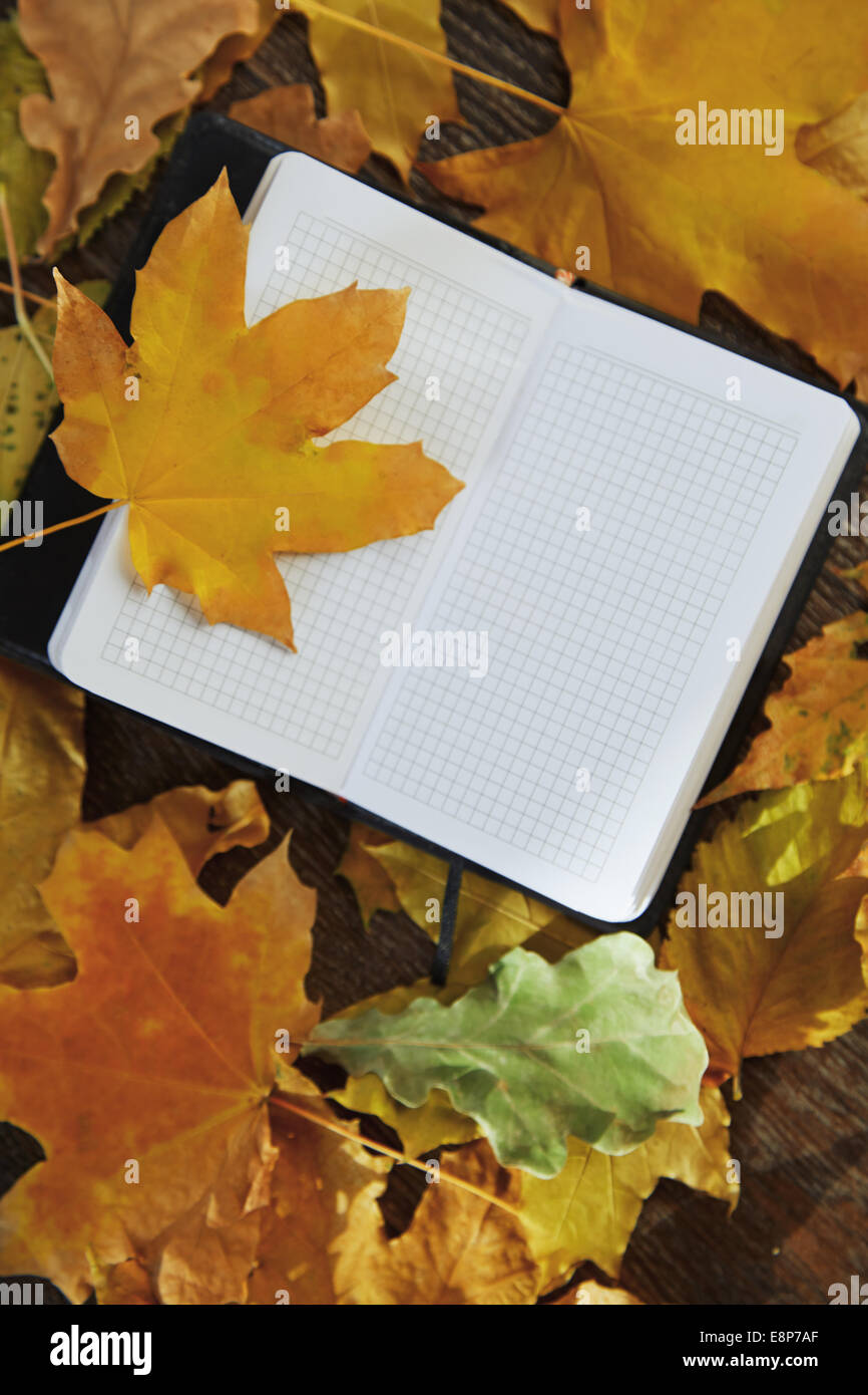 Vue en gros plan sur un bloc-notes avec les feuilles d'automne Banque D'Images