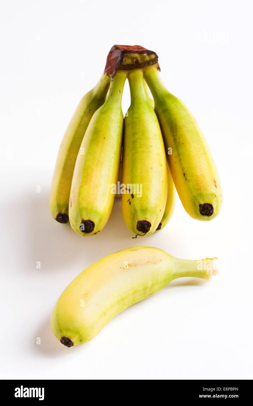 Musa. Un tas de mini bananes. Banque D'Images
