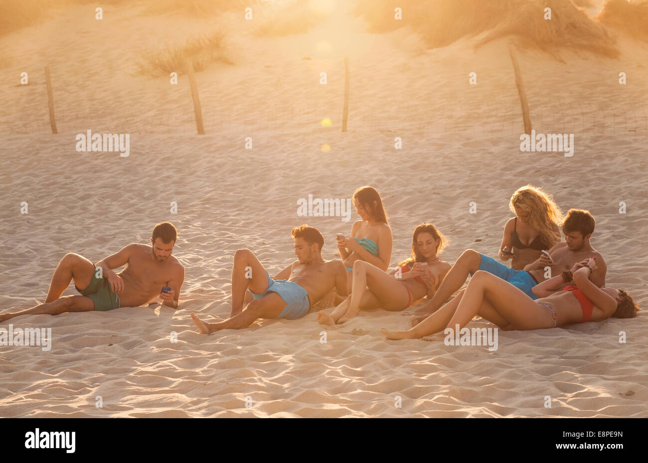 Groupe de personnes à la plage en utilisant des appareils mobiles. Banque D'Images