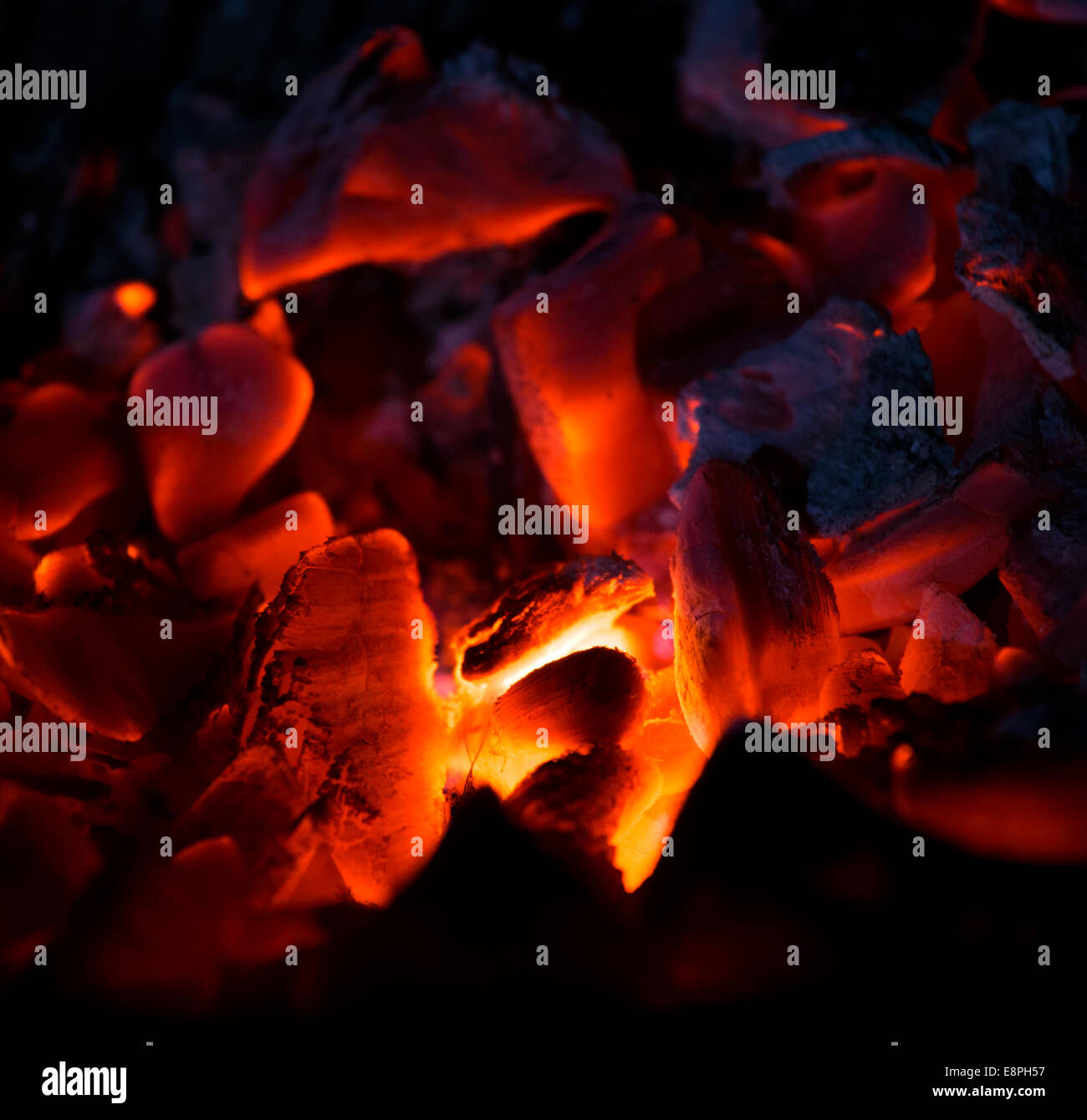 Le charbon de bois brûlant dans l'obscurité, à l'extérieur Banque D'Images