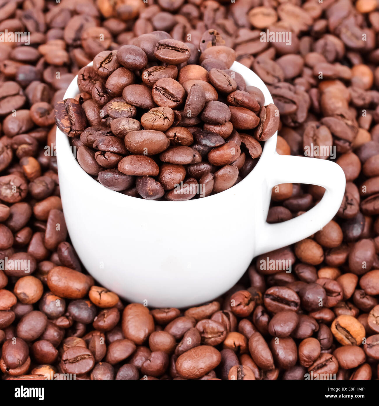 Tasse blanche avec des grains de café, closeup Banque D'Images