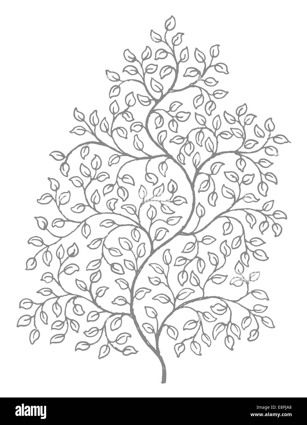 Vignes et orné de feuilles frisées illustration Banque D'Images