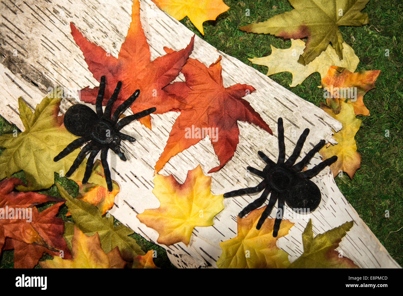 Les feuilles d'automne et les Araignées Banque D'Images