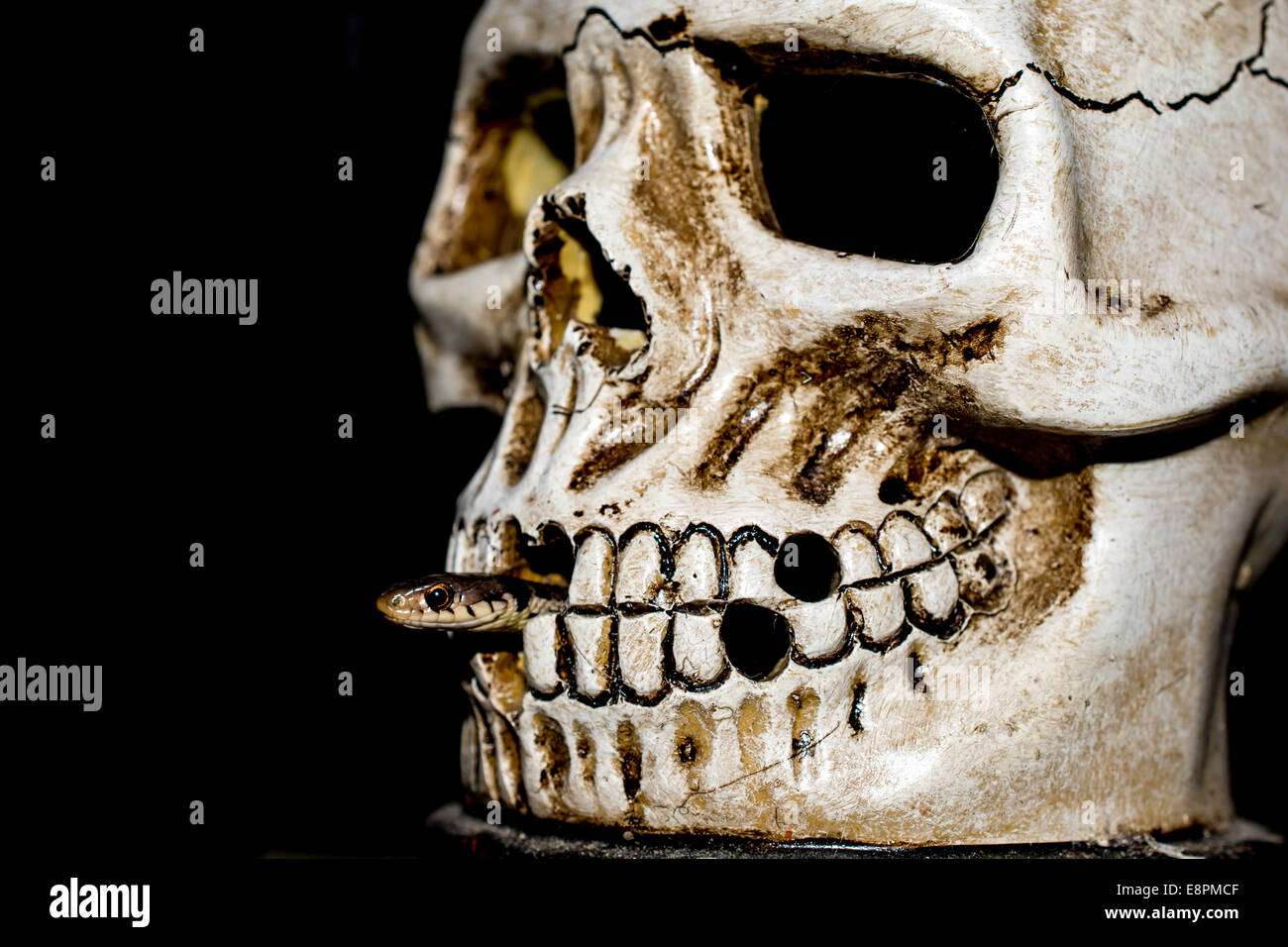 Scary Halloween Skull Banque D'Images