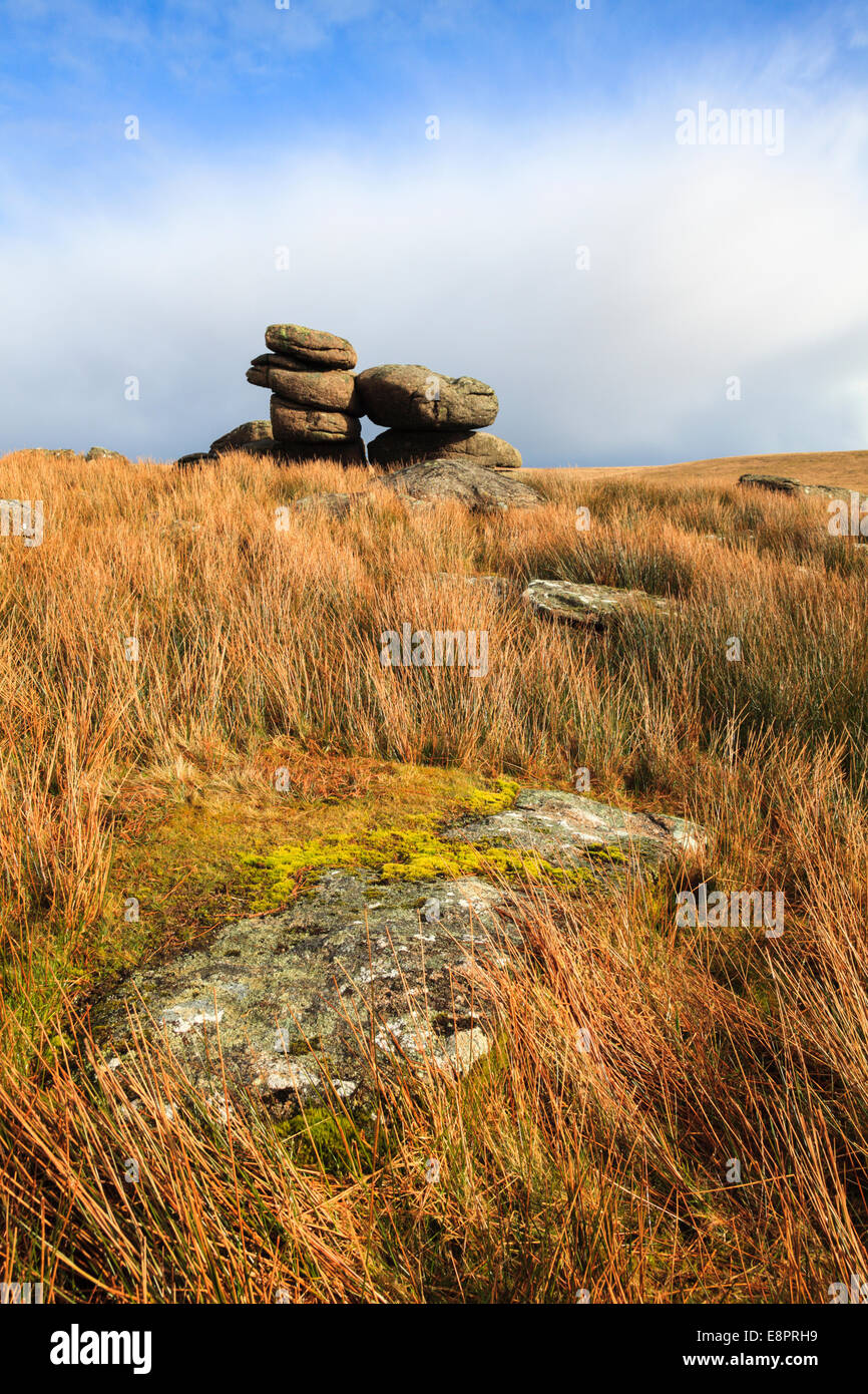 Tor dans le noir Dartmoor National Park, Devon Banque D'Images