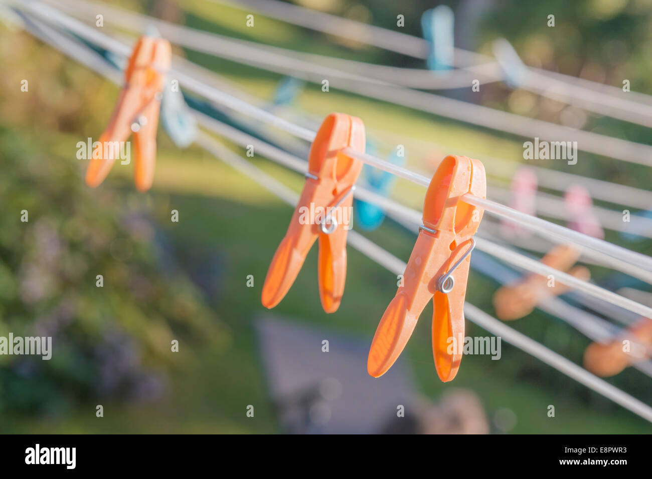 Des pinces à linge sur une ligne airer rotatif. Banque D'Images