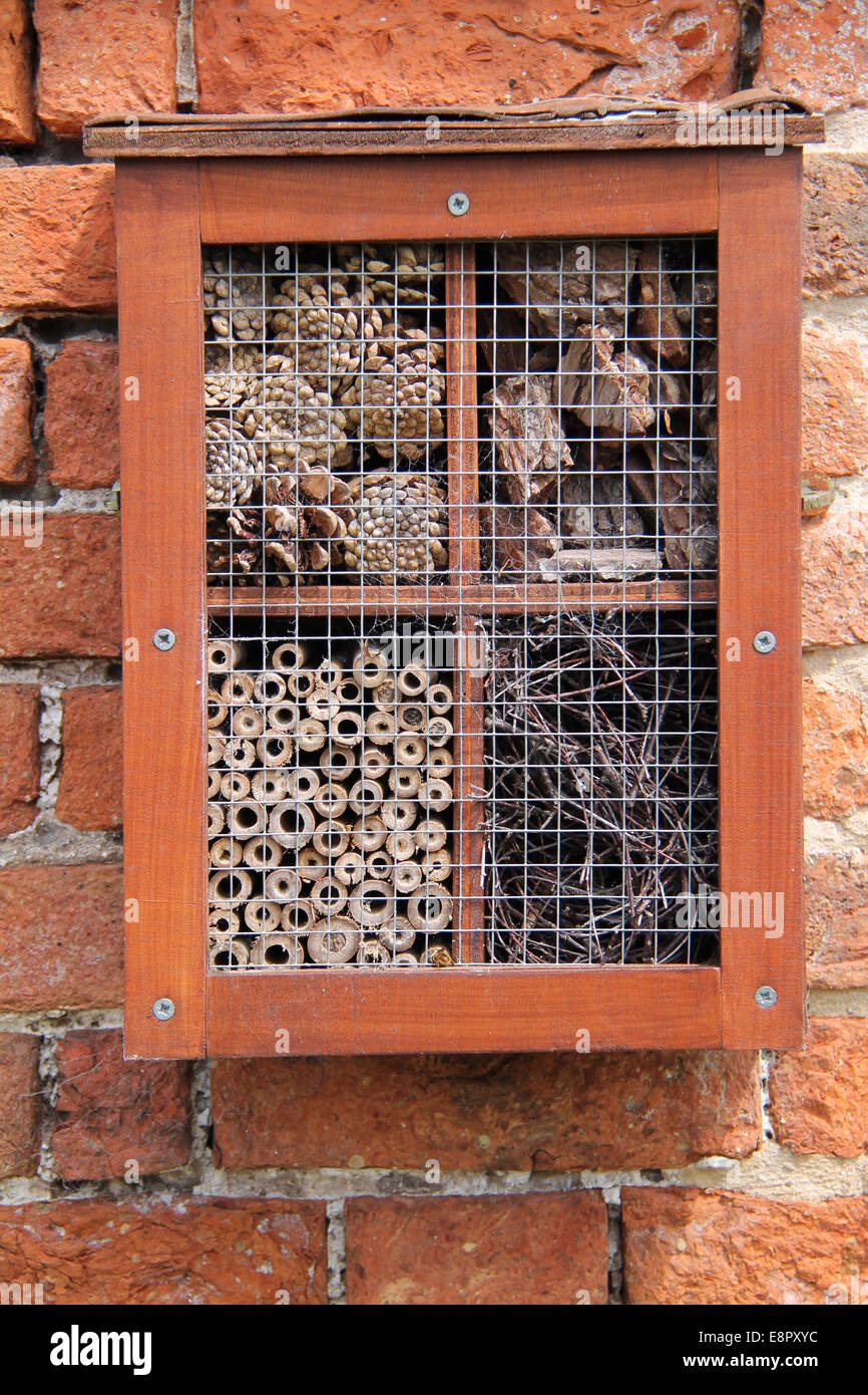 Un jardin conçu Accueil pour petits insectes et abeilles. Banque D'Images