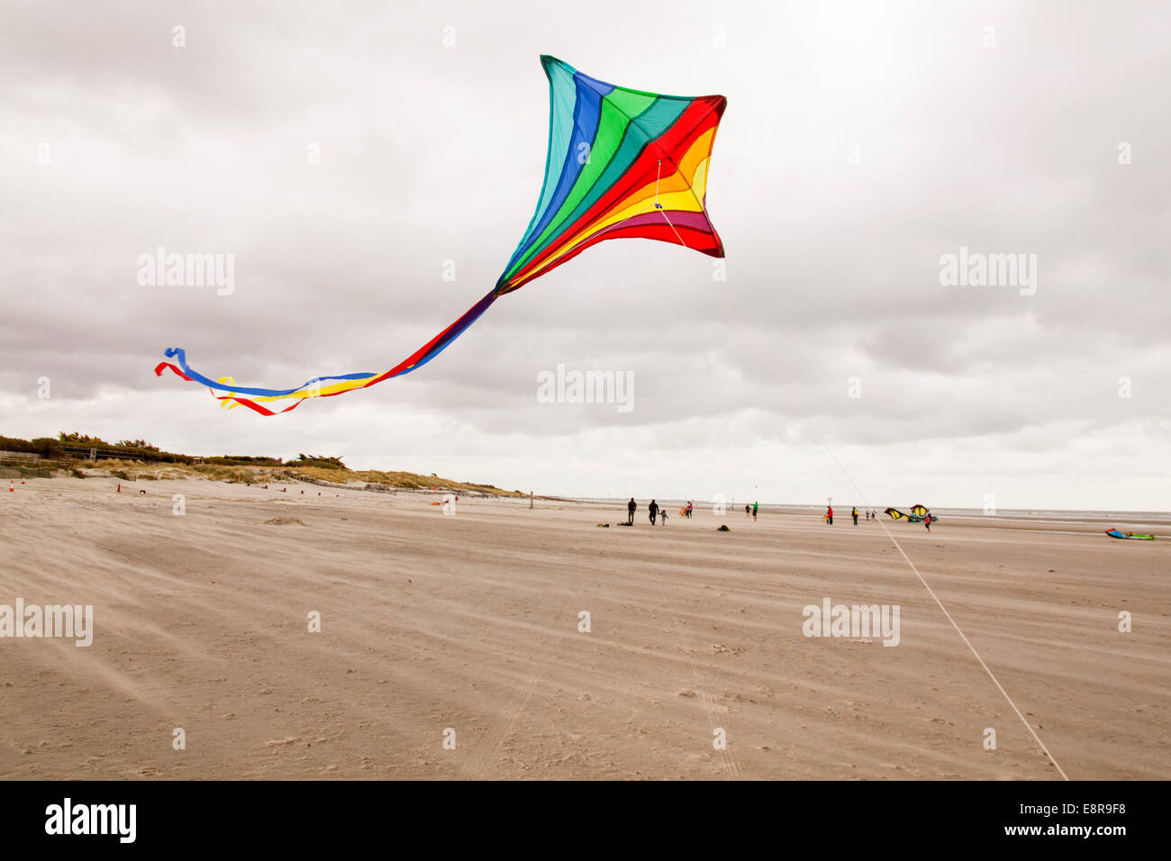 Le cerf-volant sur la plage de West Wittering, West Sussex, Angleterre, Royaume-Uni. Banque D'Images