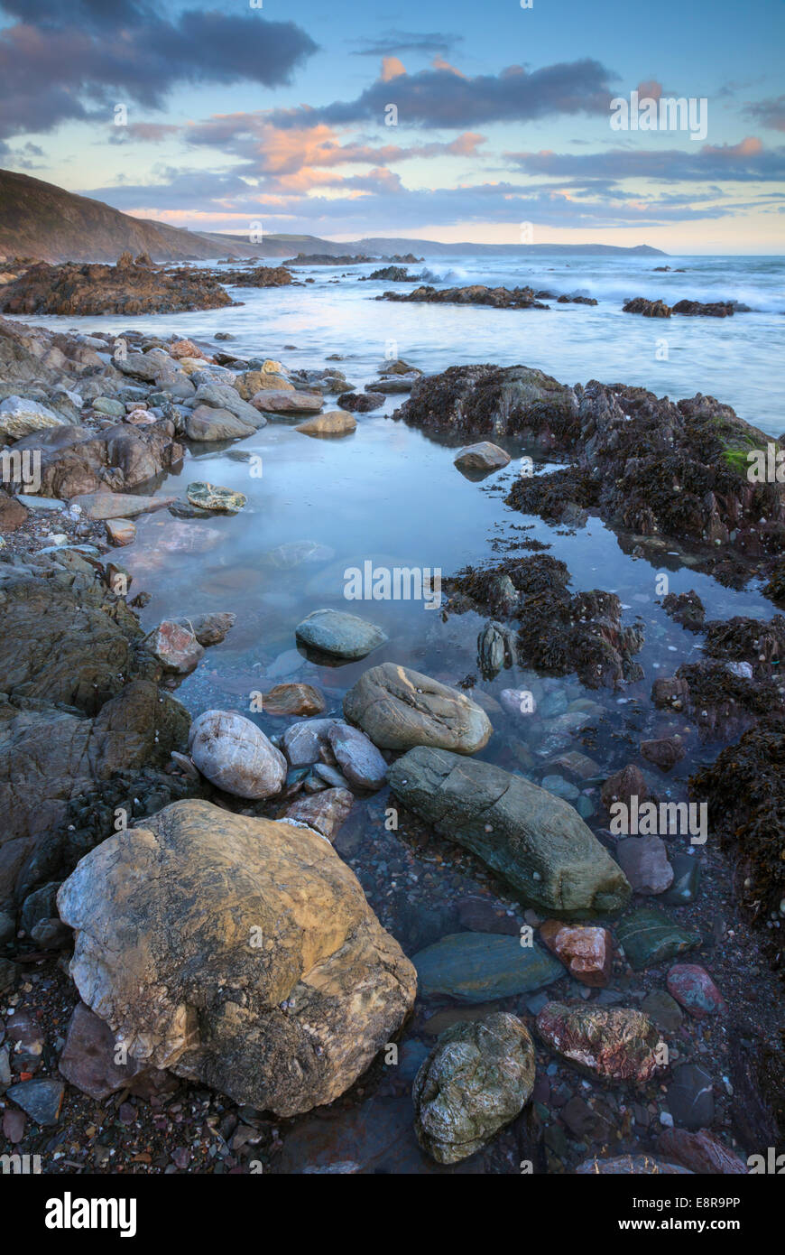 Capturés dans Portwrickle Whitsand Bay. Banque D'Images