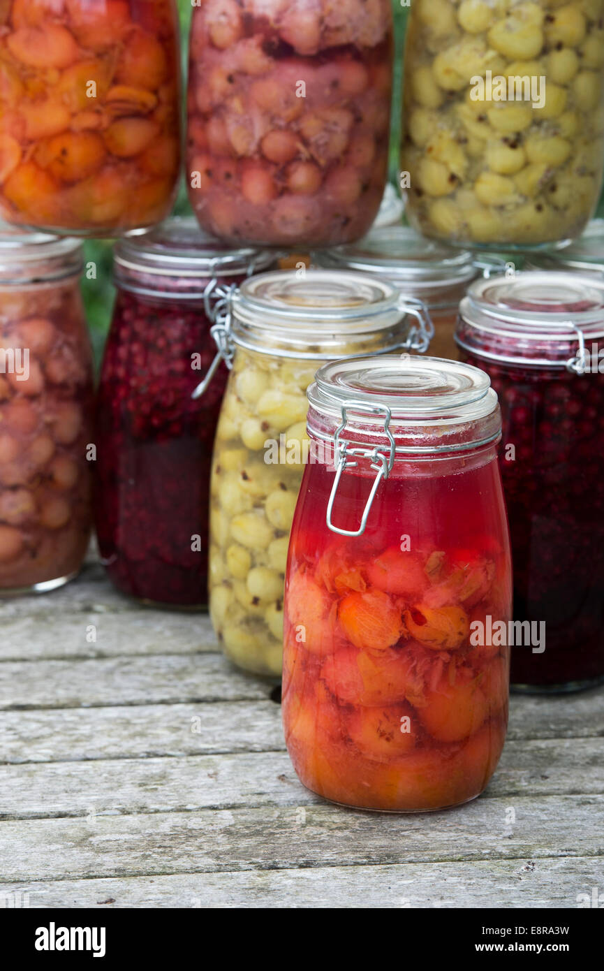 Fruits en bouteille sur une table en bois. L'entreposage des aliments pour l'hiver Banque D'Images