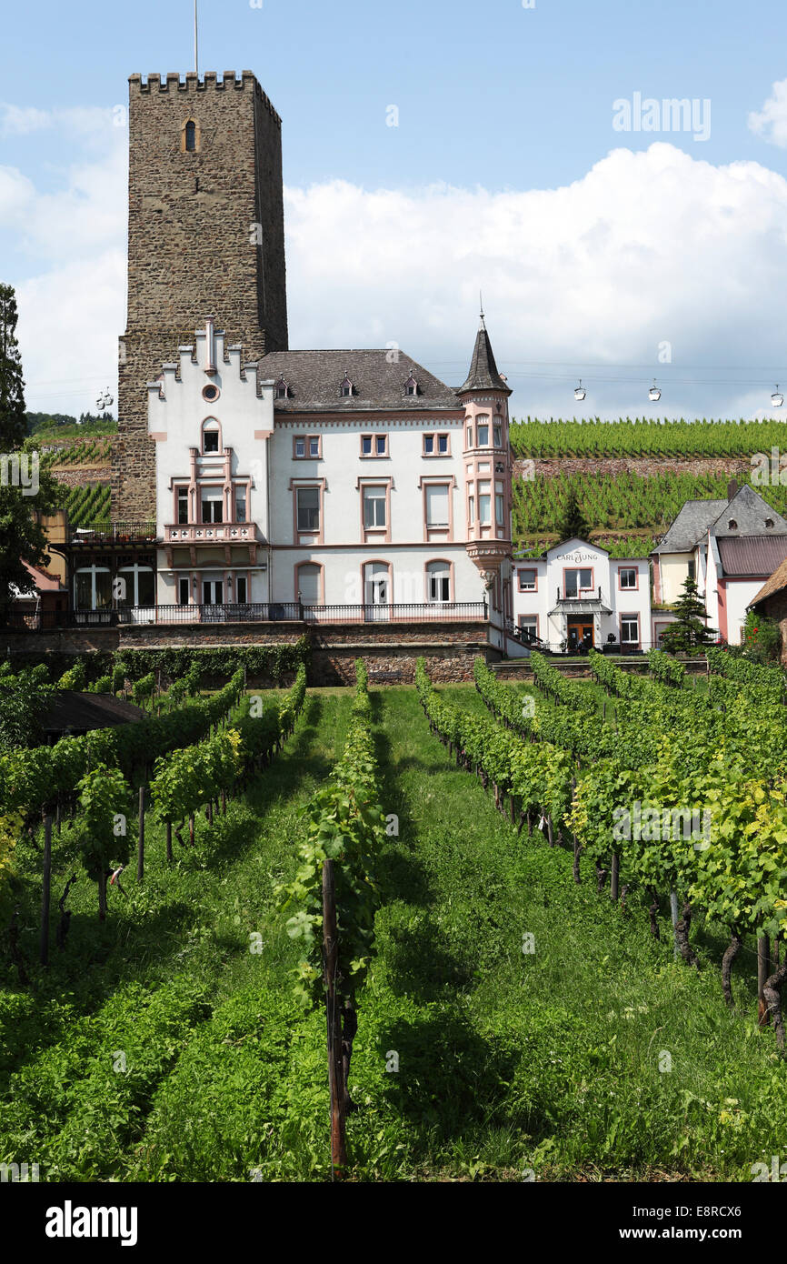 Château Boosenburg à Ruedesheim, Allemagne. Banque D'Images