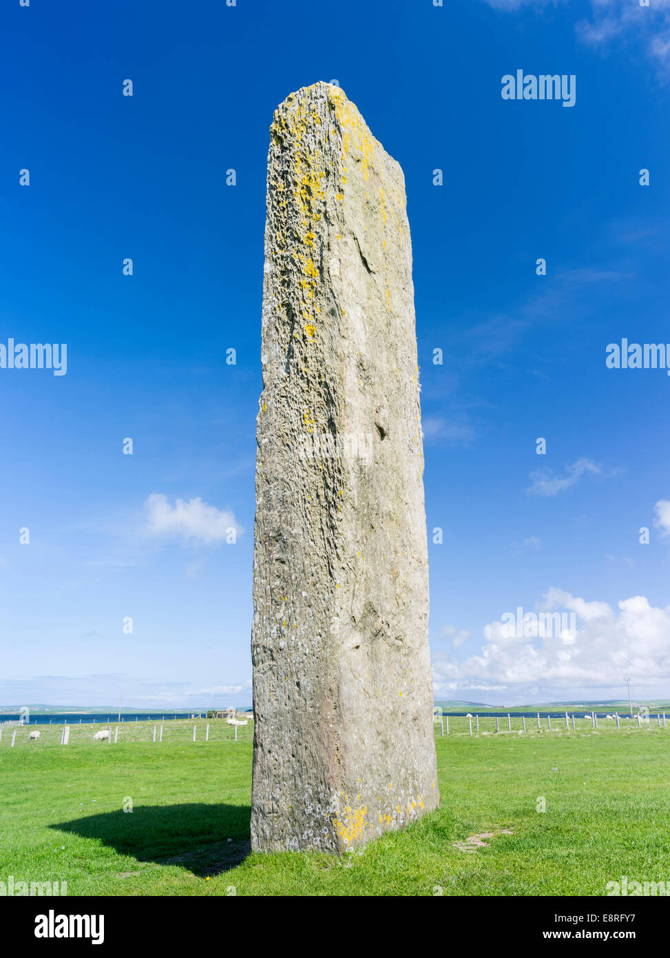 Menhirs de Stenness, Site du patrimoine mondial de l'UNESCO, le Coeur néolithique des Orcades, îles Orcades, en Écosse. Banque D'Images