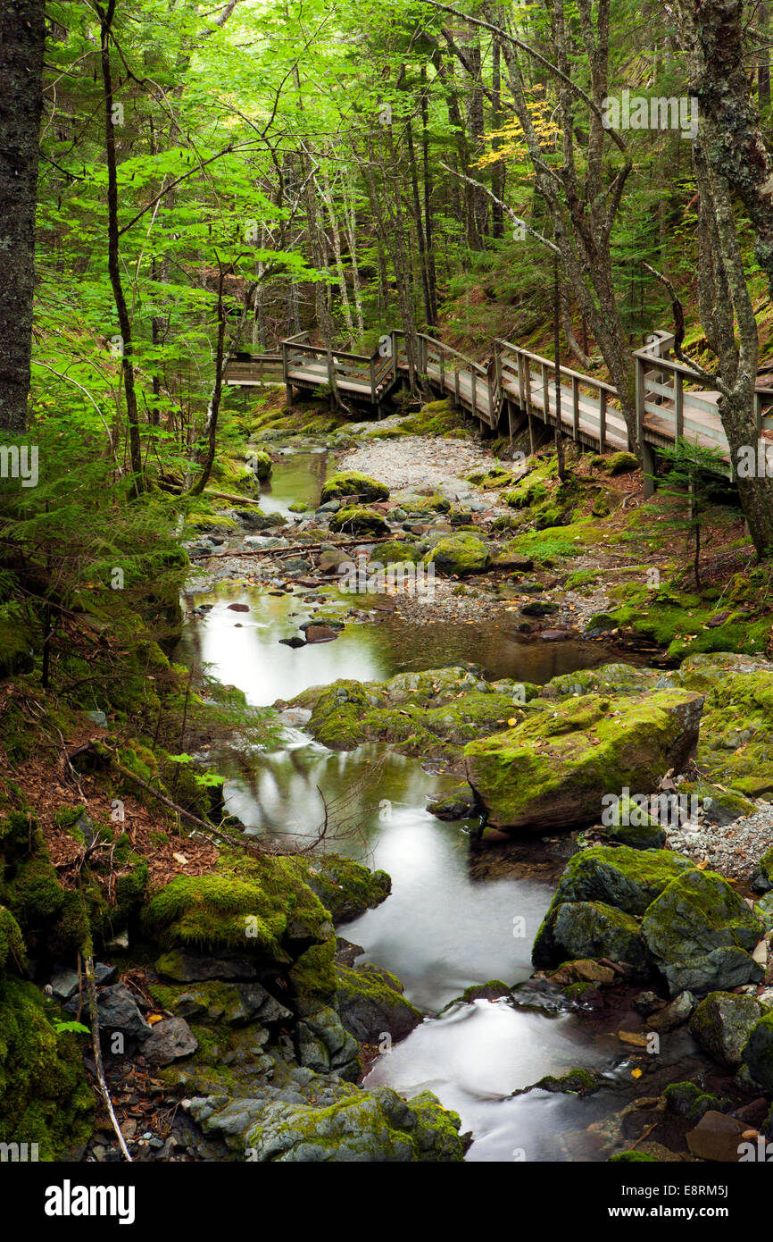 Sentier Dickson Falls - parc national de Fundy - près d'Alma, au Nouveau-Brunswick, Canada Banque D'Images