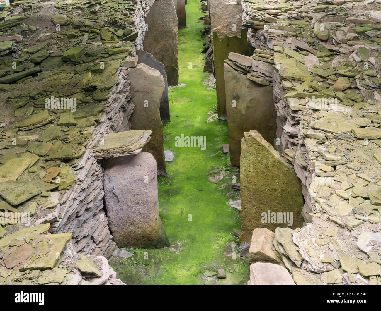 Midhowe chambré, un Cairn Cairn néolithique de l'Orkney-Cromarty chambré type sur l'île de Rousay, îles Orcades, en Écosse. Banque D'Images