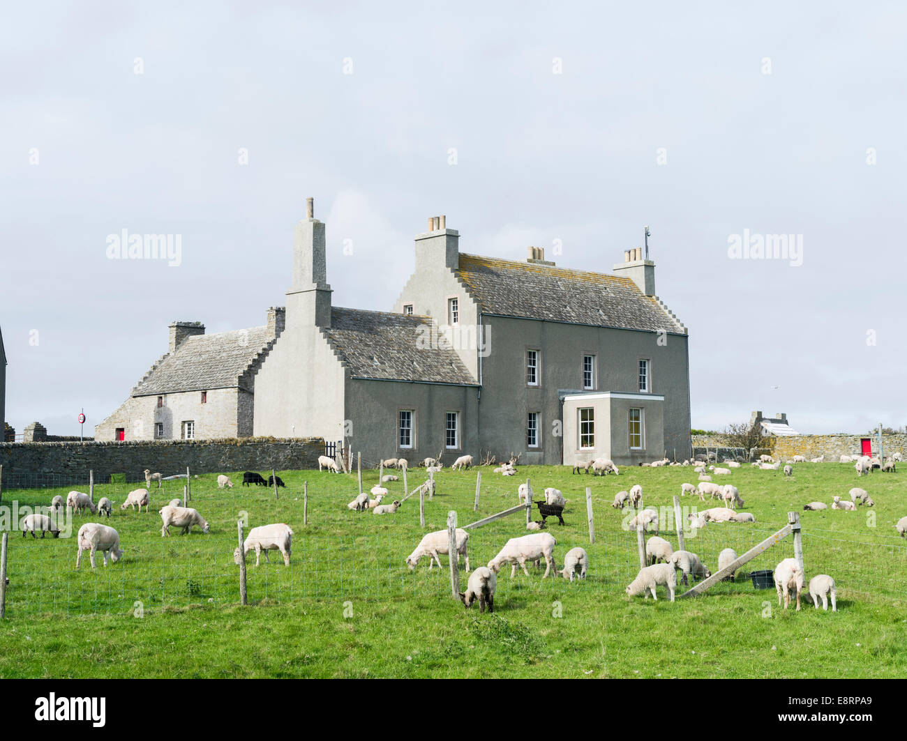 Papa Westray, une petite île de l'archipel des Orcades, îles Orcades, en Écosse. Tailles disponibles (grand format) Banque D'Images
