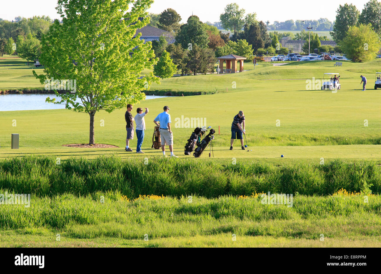 Deux queue à la té en un terrain de golf de Lakewood, Colorado Banque D'Images