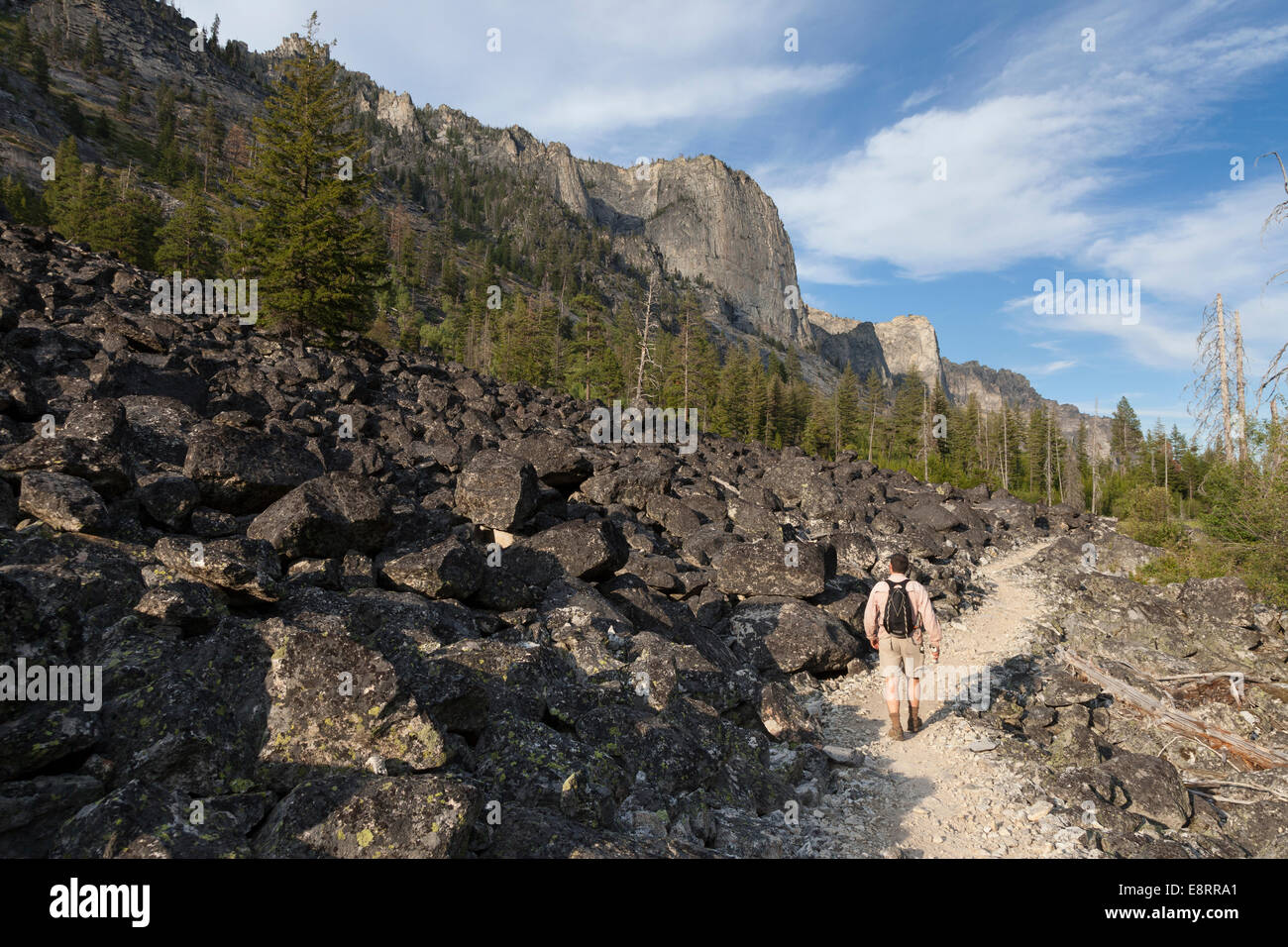 L'homme de la randonnée le long du sentier dans la région de Blodgett Blodgett Canyon - Ravalli Comté Selway-Bitterroot, Désert, Montana, USA Banque D'Images