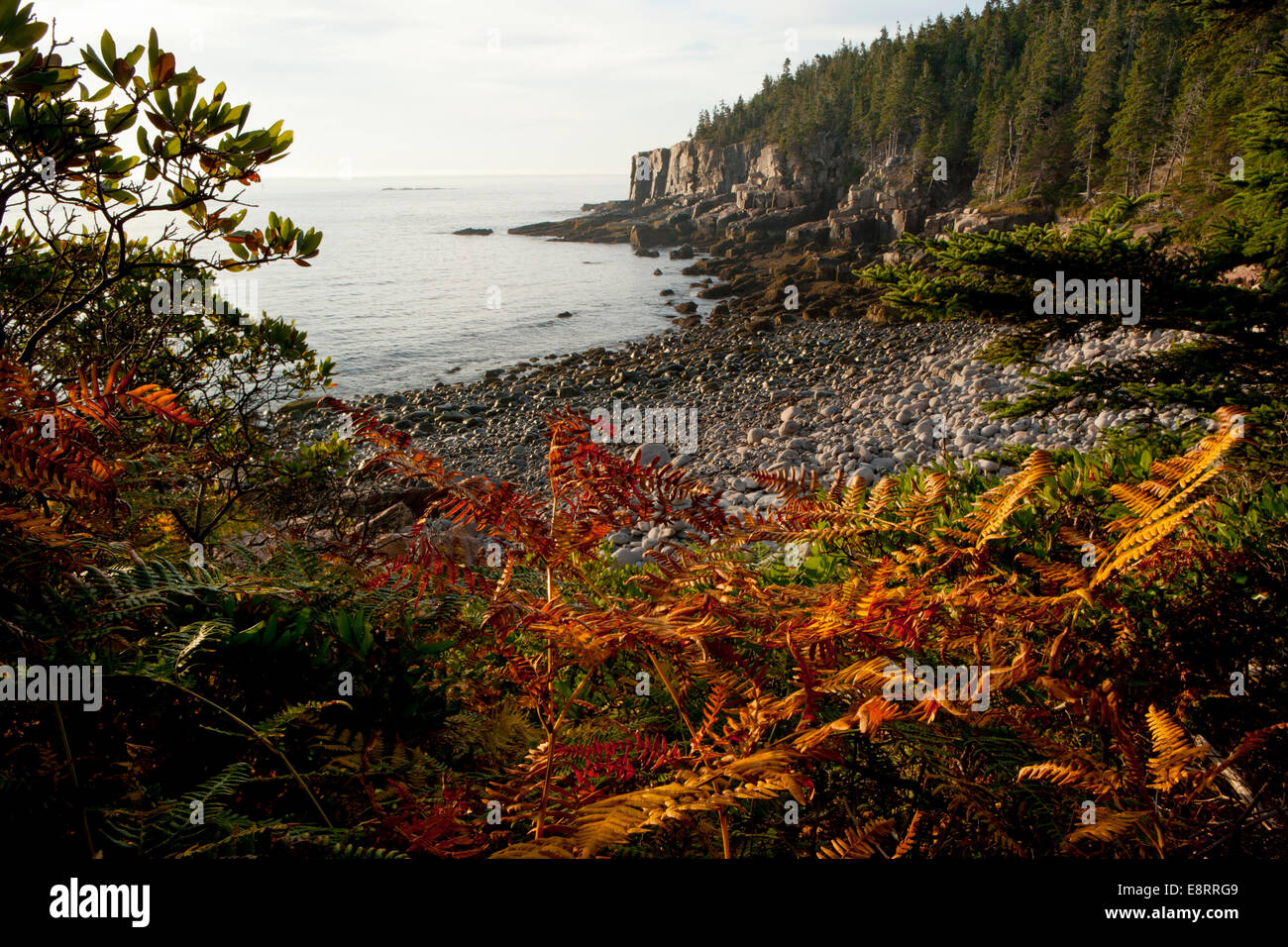Otter Cliff Paysage - Parc National d'Acadia - Bar Harbor, Maine USA Banque D'Images