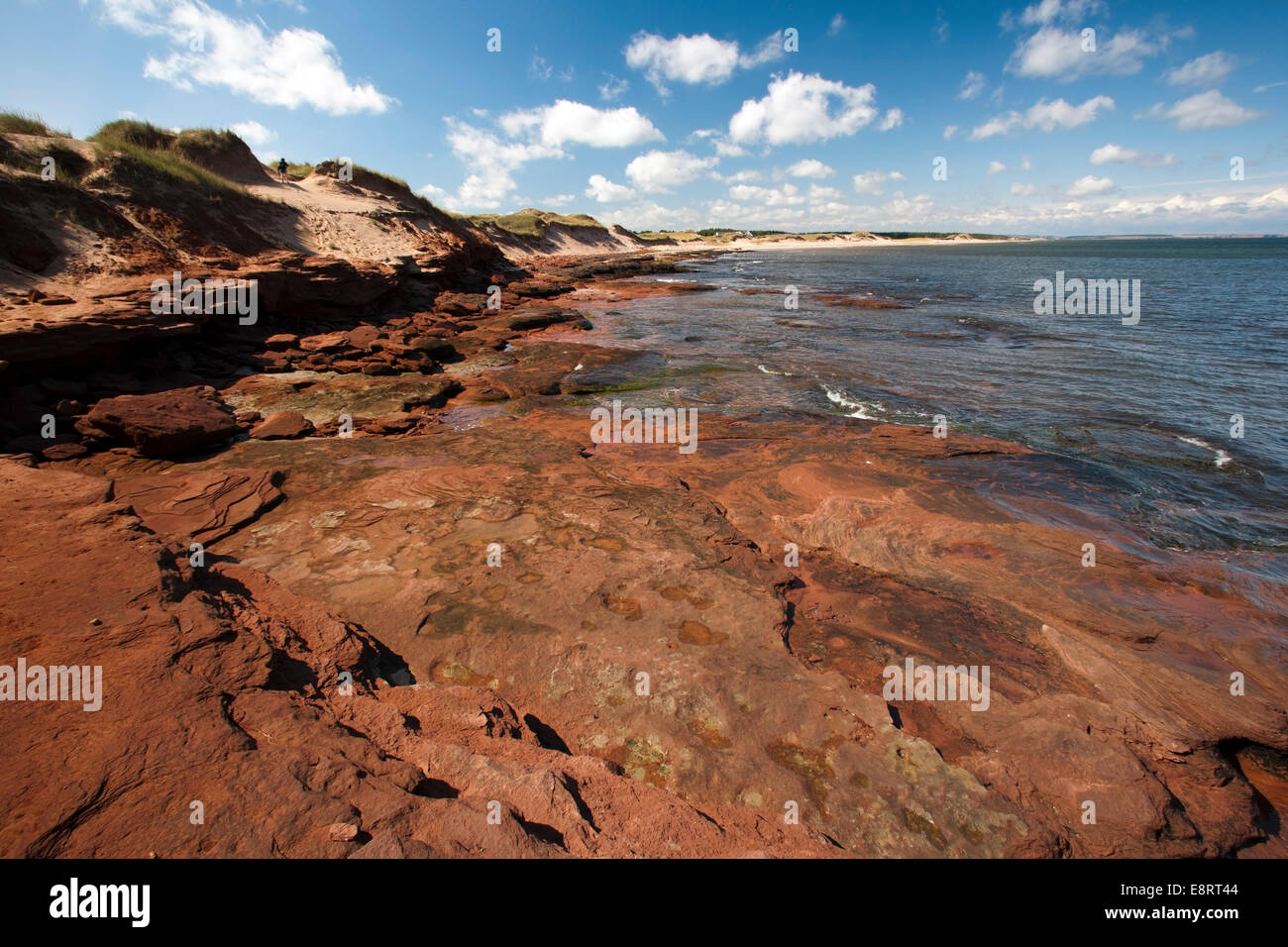 Cavendish - Prince Edward Island National Park - Prince Edward Island, Canada Banque D'Images