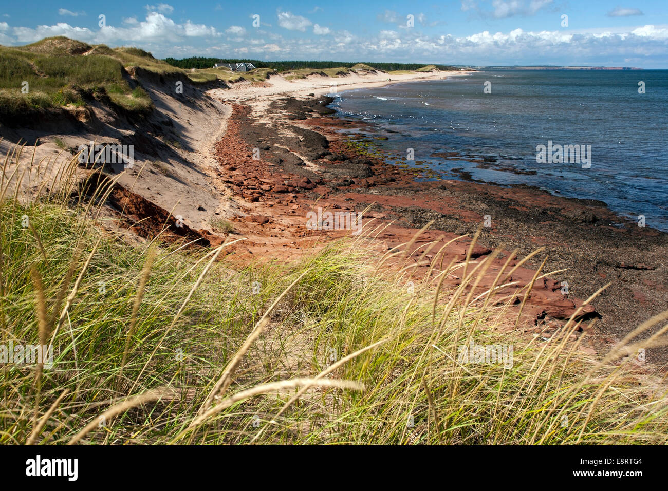 Cavendish - Prince Edward Island National Park - Prince Edward Island, Canada Banque D'Images