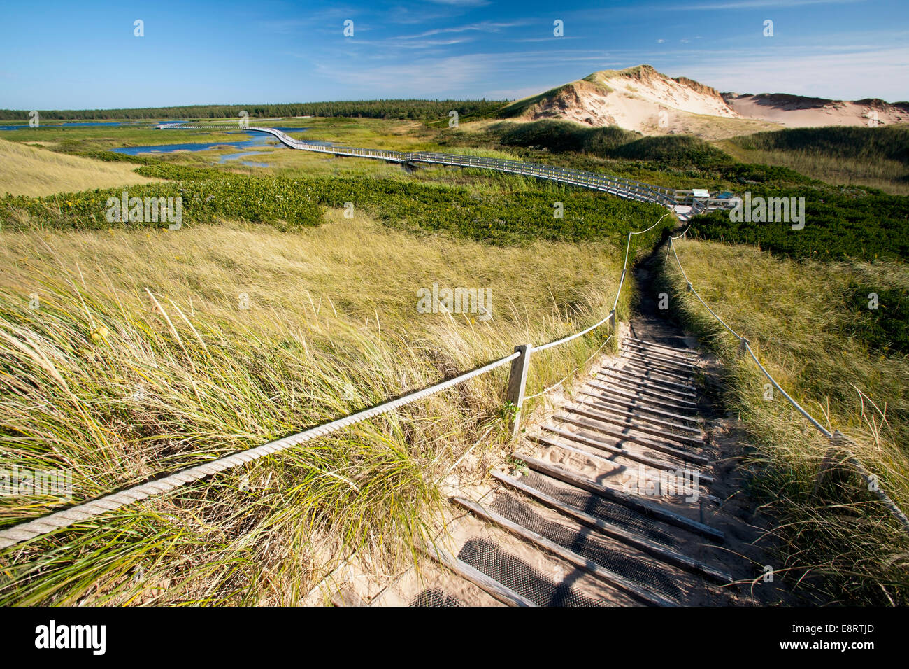 Sentier des dunes de Greenwich - Prince Edward Island, Canada Banque D'Images