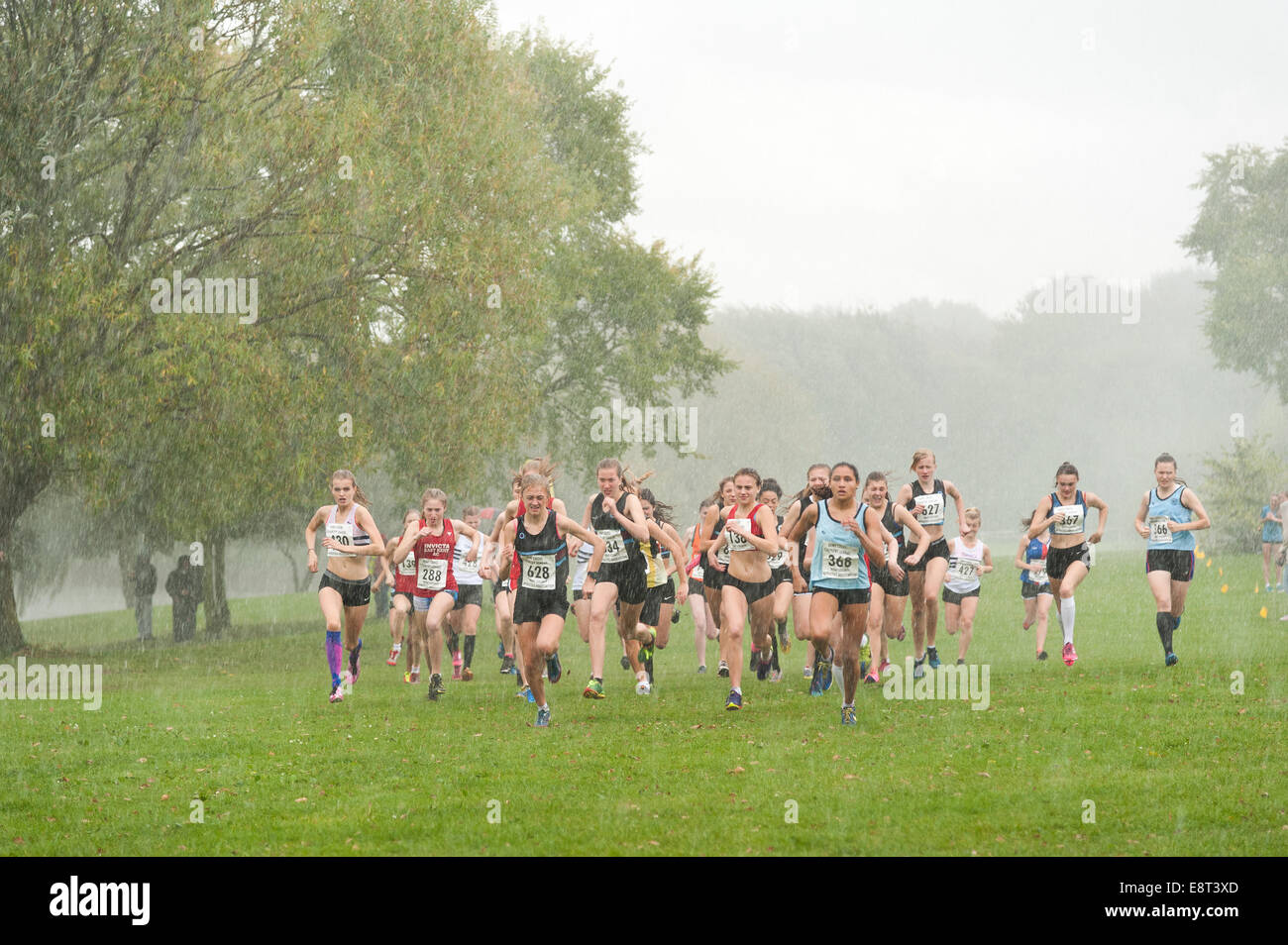 Cross country championnats d'athlétisme d'Kent les événements commencent de race pack sprint porteur soyage pour avance Banque D'Images Cross country championnats d'athlétisme d'Kent les événements commencent de race pack sprint porteur soyage pour avance Banque D'Images