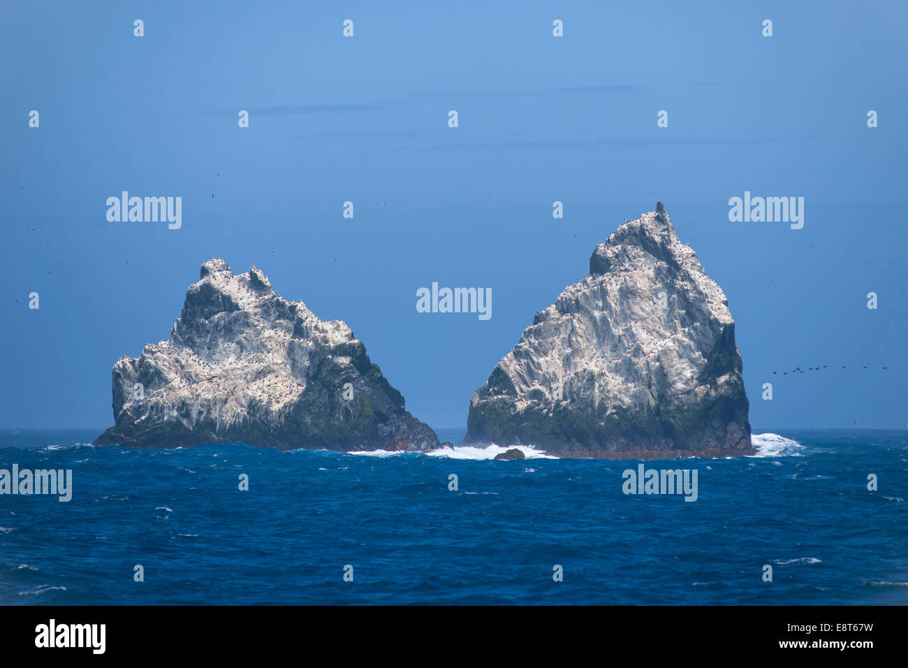 La Shag Rocks, groupe d'îles dans l'océan Atlantique Sud, la Géorgie du Sud et les îles Sandwich du Sud, Royaume-Uni Banque D'Images