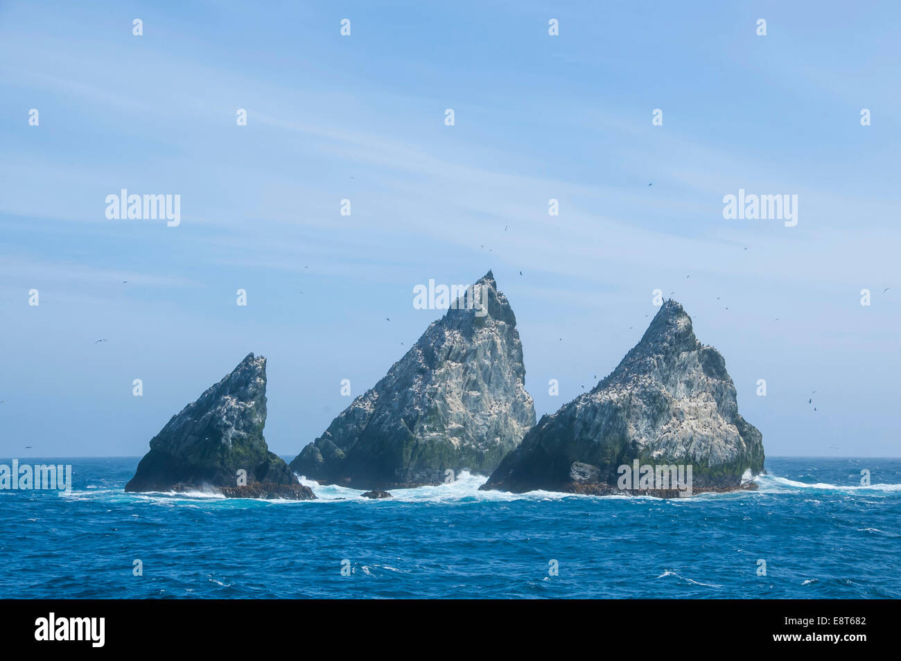 La Shag Rocks, groupe d'îles dans l'océan Atlantique Sud, la Géorgie du Sud et les îles Sandwich du Sud, Royaume-Uni Banque D'Images