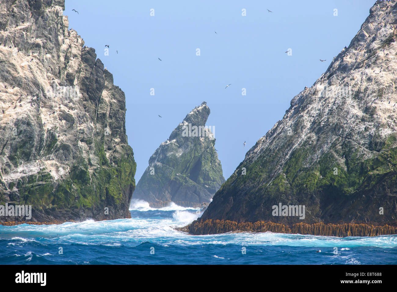La Shag Rocks, groupe d'îles dans l'océan Atlantique Sud, la Géorgie du Sud et les îles Sandwich du Sud, Royaume-Uni Banque D'Images
