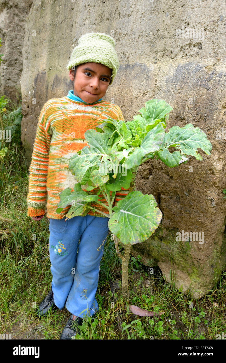 Fille, 8 ans, à côté d'un chou, Chuquis, Huanuco, Pérou Province Banque D'Images