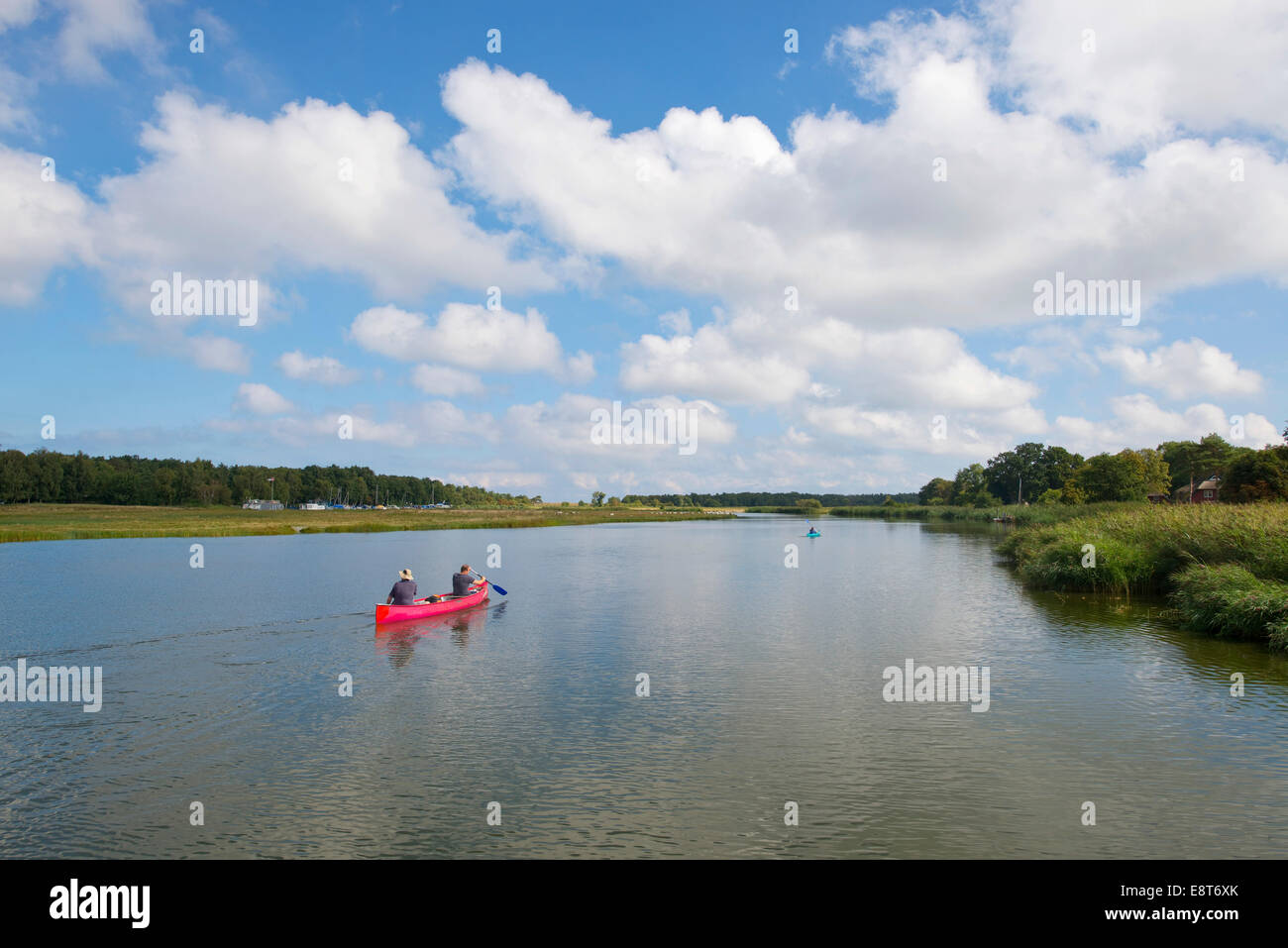 Canadian canoe sur la rivière Strom Prerower près de Prerow, Darß-Zingst, Bodden Paysage du Parc National de Vorpommern Banque D'Images