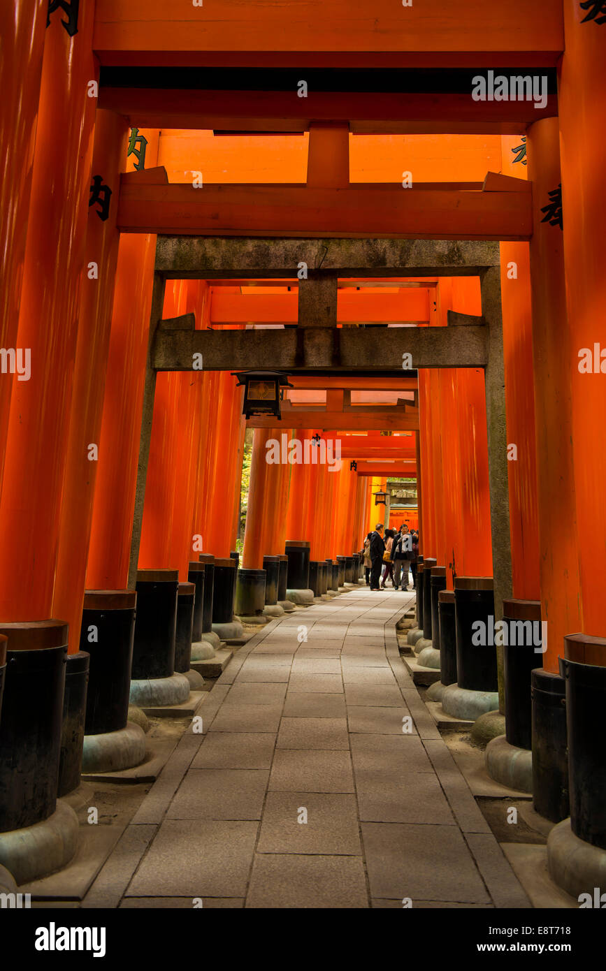 Torii ou grilles menant au sanctuaire intérieur, Fushimi Inari-taisha, Kyoto, Japon Banque D'Images