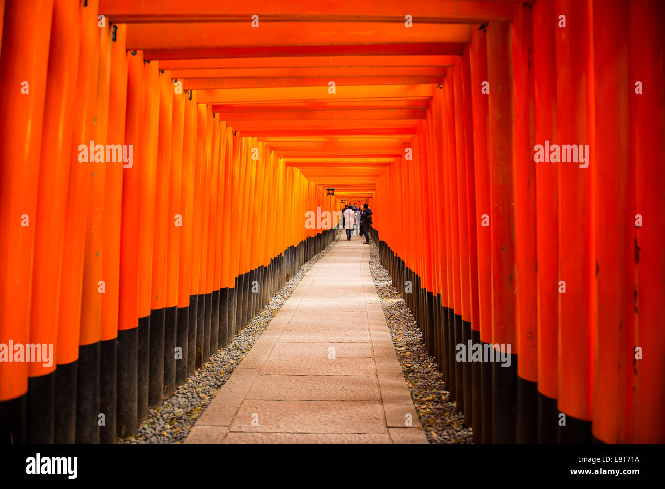 Torii ou grilles menant au sanctuaire intérieur, Fushimi Inari-taisha, Kyoto, Japon Banque D'Images